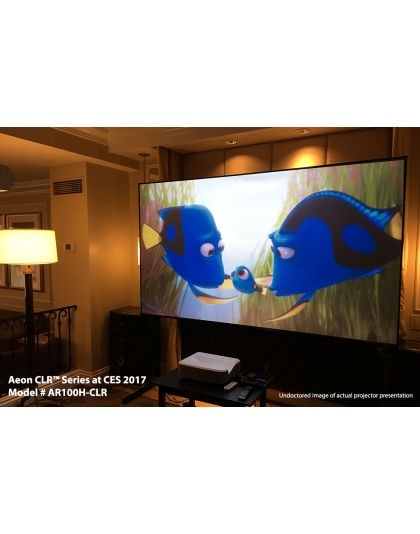 123-Inch Aeon CLR Series Fixed Frame Ceiling/Ambient Light Rejecting 16:9 Front Projection Screen