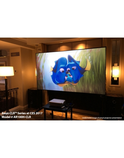 123-Inch Aeon CLR Series Fixed Frame Ceiling/Ambient Light Rejecting 16:9 Front Projection Screen