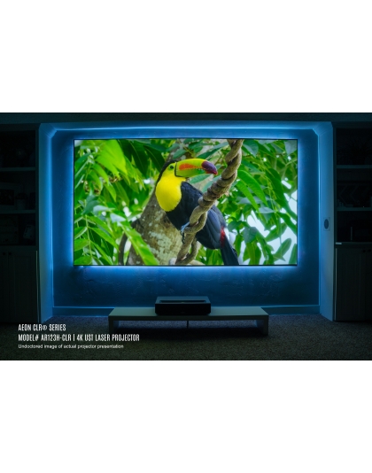 123-Inch Aeon CLR Series Fixed Frame Ceiling/Ambient Light Rejecting 16:9 Front Projection Screen