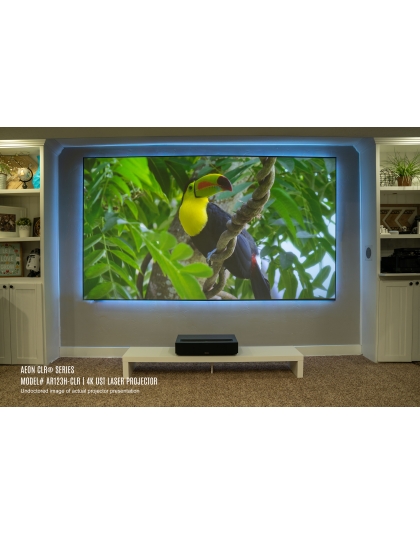 123-Inch Aeon CLR Series Fixed Frame Ceiling/Ambient Light Rejecting 16:9 Front Projection Screen