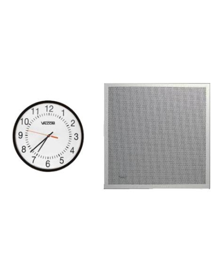 IP CLK/SPK ANALOG 2X2 IC