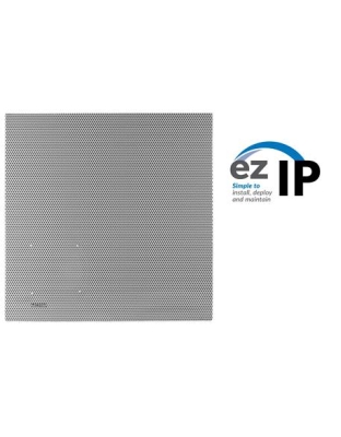 2x2 Lay-In Ceiling Speaker