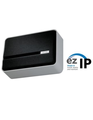 Slimline Wall Speaker, Grey