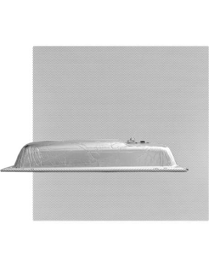 2' x 2' IP Ceiling Tile Talk-Back IP Spk