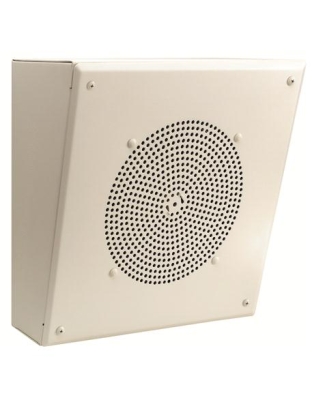Angled Front Amplified Metal Box Speaker