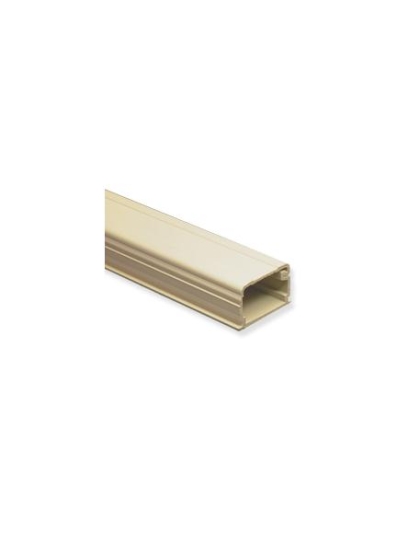 RACEWAY 1 1/4inW X 3/4inH X 6'L IV