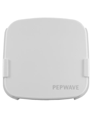 Enterprise Dual Band Access Point